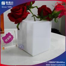 Clear Perspex Acrylic Display Box para flores